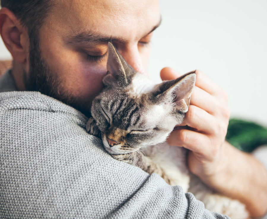 A shelter cat being held by a caregiver