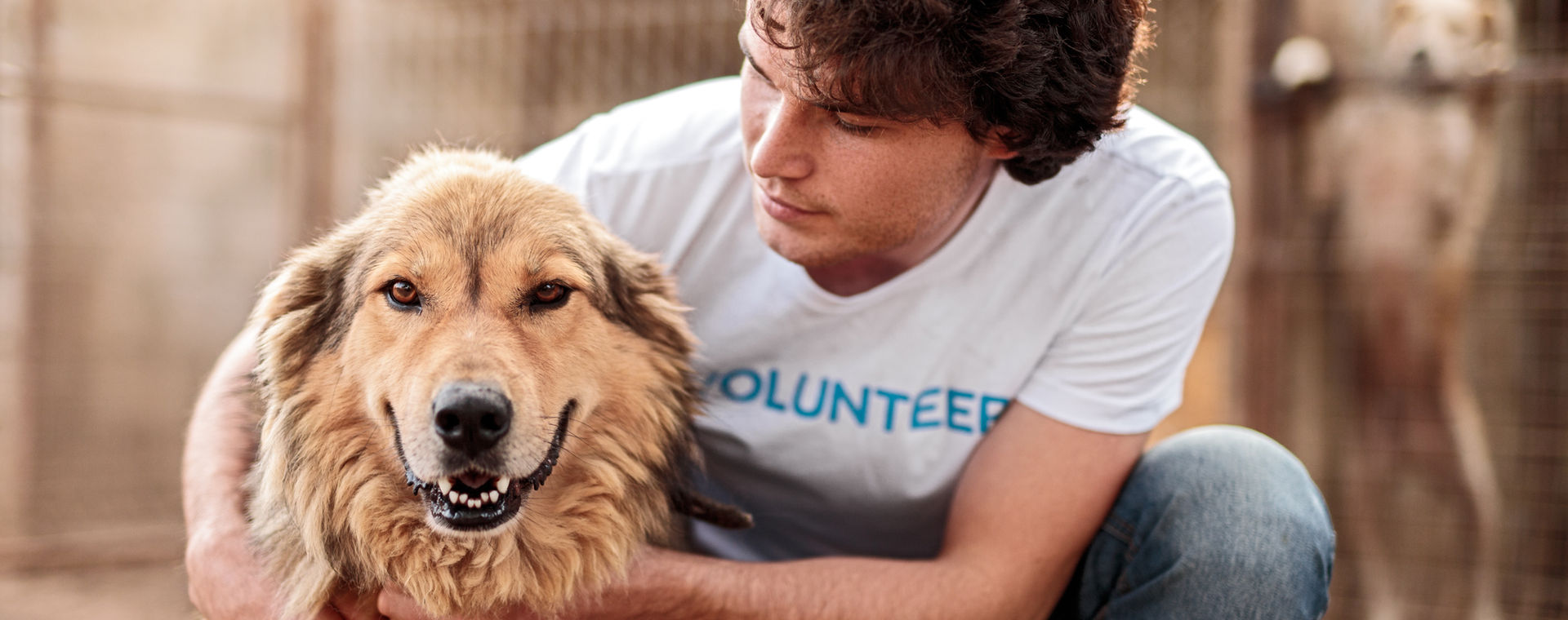 A rescue dog looking up hopefully at a shelter volunteer